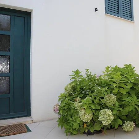 Stipe Plazibat Hvar Town