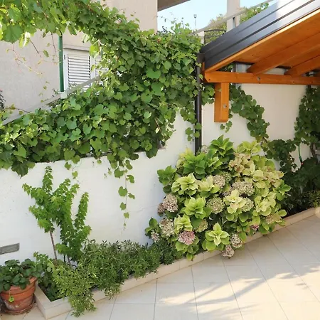 Stipe Plazibat * Hvar Town