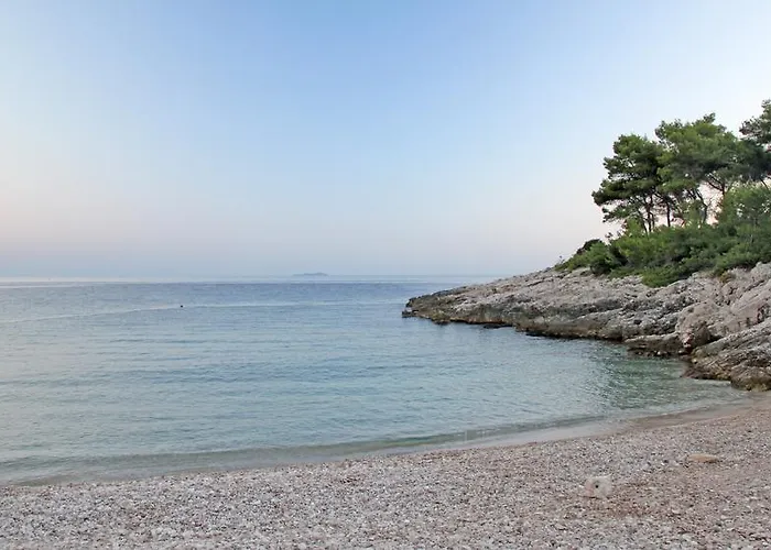 Stipe Plazibat Daire